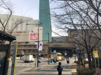 아들이 낚시가 하고 싶다고 하여 인터넷으로 검색을 하다 찾은 왕십리 드레곤 피쉬 낚시카페입니다. 왕십리... | 계속