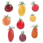 TOMATO에 있는 TAD님의 핀