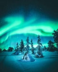 이승희님이 AURORA에 올린 아이디어 | 오로라, 자연, 디자인 웹