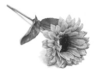 해바라기꽃 미도움미술학원