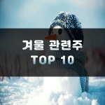 겨울 관련주 TOP 10 | 대장주 (난방, 한파)