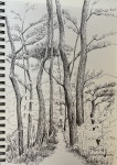 #펜화#펜드로잉#풍경드로잉#숲#어반스케치