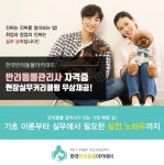 펫시터자격증.애견관련직업 자격증, 한국반려동물아카데미 | 아이콘