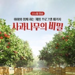 ⠀ 소노벨 청송 사과 과수원 속 놀이 공간 &#039;플... 소노호텔앤리조트,소노벨청송,청송,가을,가을여행,플레이그라운드인애플팜,... - 2020... 