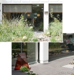 【ソウル1909】-4- 카페코튼(cafe kotton) / 카페 차|ㅊa(cafe CHA) | ヒビ : マイニチノナンデモナイコト | 御影石, ソウル カフェ, 福井... 