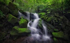 Green valley - 장전계곡