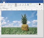 픽픽(Pic Pick) 화면 캡쳐 프로그램- 모자이크 처리방법 in 2020 | Fruit, Pineapple, Food