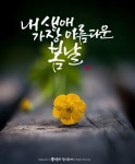 봄날 캘리그라피 | 멋진 문구, 손글씨, 손글씨 문구