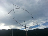 125510 의 물고기