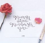 수채화캘리그라피 자격증 쉽고도 재밌는 돈되는 취미 | 블로그, 행복한