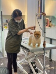 Pet cafe에 있는 JJangga님의 핀 - 2022