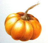 작가되기#8 색연필 기법(3)-남겨놓고 그리기 | 색연필 기법, 색연필 스케치, 오일 파스텔 드로잉