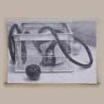 「일본입시」おしゃれまとめの人気アイデア｜Pinterest｜연선 윤 | 静物デッサン