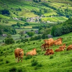 패션 디자인 실습에 있는 서빈 이님의 핀(이미지 포함)