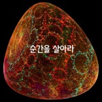 순간을 살아라 순간을 살아라 | 주기