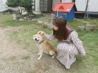 「乃木坂46」おしゃれまとめの人気アイデア｜Pinterest｜김태현 | 動物, 与田, ゆうき