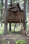 Forget HGTV, Live In A Tree! Animal Planets Treehouse Masters Premieres This Month - Architizer | 트리하우스, 장난감 집, 은신처