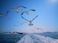 Great blue sky... | 캠핑