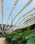 Pin page around 강남 district - 📚🪷🎐 in 2024
