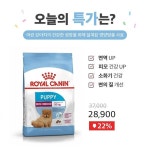 ㅤㅤ 성장기 댕댕이들 면역력 증진을 위한 #로얄캐닌_애견사료_인도어_퍼피 가 #스토어봄 에서 22% 할인 중 ㅤㅤ ▶사료 정보가 궁금하다면 프로필... 