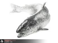 [미대강남 웹진 Vol.02] G1미술학원 드로잉, 소묘