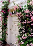 Doorway Flowers | 덩굴장미, 정원 가꾸기, 정원 디자인 아이디어