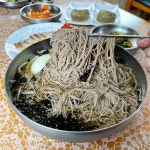 막국수 좋아하시는 분들은 매력에 빠지실 거여요 상대적으로 수육는 좀 딸리는데 그래도 준수합니다 다음에는 도토리냉면 먹으러 가고 싶네요... 