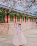 모아한복 Moa Hanbok | 고궁에는 벚꽃이 🌸 50% 정도... 봄철 한복과 함께 나들이는 어떠실까요? 👘🌞 ⸻ The cherry blossoms at the...... 
