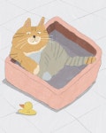 그래서 그냥 바라만 보고 있어  #illustration #drawing #lazy #cat #duck #bathe #懶惰 #貓咪 #鴨 #ᄋ… - 2020 | 그림, 고양이, 게으름