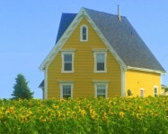 Pin by 득희 이 on Blue, Green & Yellow | Yellow cottage, House colors, Yellow houses