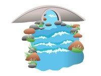 Pin page Pin på 해운 3 (크루즈선)