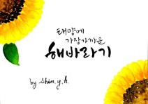 우하캘리에 있는 영순님의 핀 | 해바라기, 칼리그래피 아트