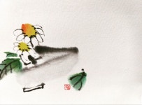 구절초 수묵캘리그라피 | 그림 카드, 그림, 카드