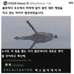 머리에 칼이 꽂힌 채로 헤엄치는 악어 뉴스 - 2020 | 웃긴 유머, 유머, 웃긴 밈