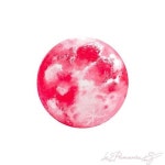 Oil pastel에 있는 핀