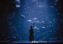 Pin by (๑•̀ㅂ•́)ง✧ on THE AQUARIUM!!! in 2023 | Cinematic photography, Photo, Aquarium pictures