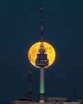 Namsan Tower (남산타워)