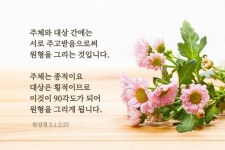 주체와 대상 간에는 서로 주고받음으로써 원형을 그리는 것입니다… #문선명총재 #한학자총재 #천성경【2024】
