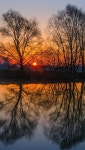 landscape에 관한 8개의 최상의 Pinterest 이미지 | 자연, 수채화 및 정원 가꾸기 landscape