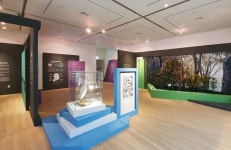 목포자연사박물관&천연기념물센터 공동 특별기획전 l Museum Exhibition | 디자인, 자연