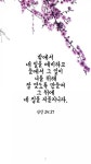 #잠언 #잠24:27 #Proverbs #말씀 #오늘의만나