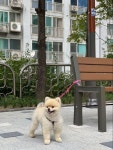 ปักพินโดย CHO SungRae / of aen ใน 에이이엔디자인