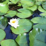 Log in — Instagram | 수련