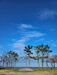 Pin page Pin on 찜뽕 in 2024
