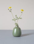 Shop All | EverydayNeeds | 도자기