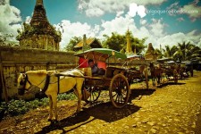 Waiting for clients | Lago inle, Lagos