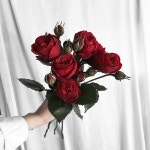 #레드피아노 #rose . . ❣️ #lesson #Order 👉🏻Katalk ID vaness52 클래스상시모집 당일꽃주문가능 WeChat ID vaness... 