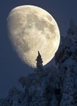Moon에 관한 35개의 최상의 Pinterest 이미지 | 달빛, La luna 및 달 Moon
