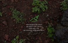 카카오파머 제주 - 상품