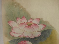 [민화 고급 과정] 신명연 화훼도 중 연화도 그리기